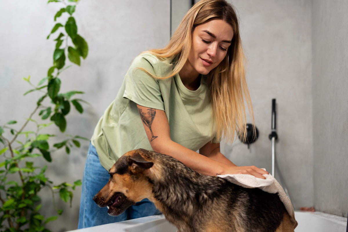 Pet Grooming