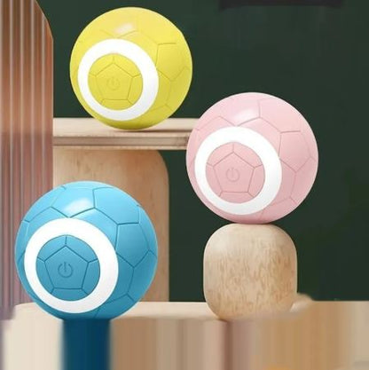 Electric Rolling Pet Ball