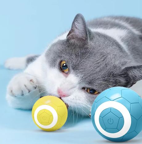 Electric Rolling Pet Ball