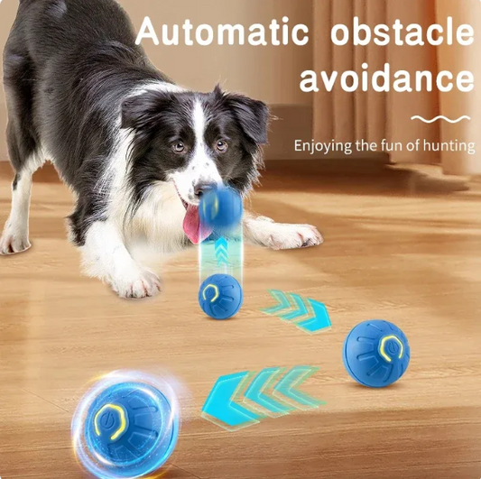 USB Bouncing Pet Ball